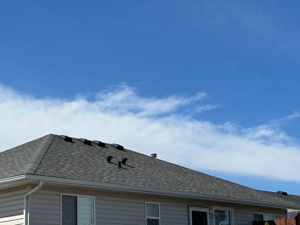 Best Storm Damage Roof Repair  in Ames, TX